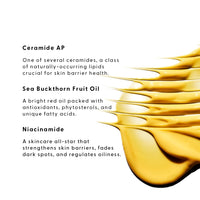 Thumbnail for Stratia Lipid Gold Skin-Strengthening Ceramide Moisturizer with Niacinamide, Hydrates & Soothes All Skin Types, 1.7 Fl Oz