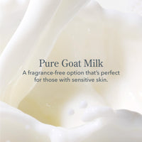 Thumbnail for Beekman 1802 Goat Milk Lotion - Hydrates, & Softens Dry Skin, Body and Hand Lotion - With Shea Butter & Jojoba Oil - Lightweight, Non-Greasy, Cruelty-Free