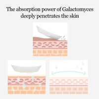 Thumbnail for mixsoon Galactomyces Toner Pad,Fermented Nutrition, Galactomyces, Dual-Textured Pad (280ml/9.46fl.oz/(60 Sheets)