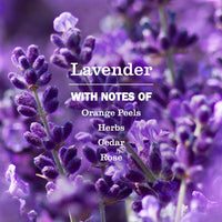 Thumbnail for MRS. MEYER'S CLEAN DAY Hand Soap Refill, Lavender Scent, 33 Fl Oz Bottle