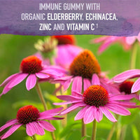 Thumbnail for Garden of Life Organics Elderberry Gummies for Adults & Kids - Immune Support Supplement with Organic Fruit, Herbal Blend, Elderberry, Echinacea, Zinc, Vitamin C, 120 Vegan Gluten Free Gummies