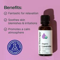 Thumbnail for Plant Therapy Organic Lavender Essential Oil 100% Pure, USDA Certified Organic, Undiluted, Natural Aromatherapy for Diffusion & Topical Use, For Skin, Hair, Relaxation, Premium Therapeutic Grade 30 mL