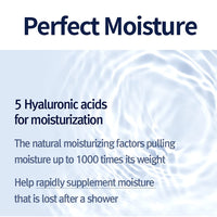 Thumbnail for Pyunkang Yul PKY Intensive Ceramide Body Lotion, Non-Greasy, Minimal Ingredients, Zero-Irritation, Korean Skincare (500ml, 16.9 Fl.Oz)