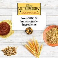 Thumbnail for LAFEBER'S Classic Nutri-Berries Conure Food, Made with Non-GMO and Human-Grade Ingredients, for Conures (Classic 10 oz)