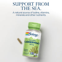 Thumbnail for SOLARAY Bladderwrack Capsules 580 mg - Nutrient-Packed Seaweed Supplement, High in Iodine - Balanced Herbal Support - Vegan, Non-GMO, 60-Day Guarantee, Lab Verified - 100 Servings, 100 VegCaps