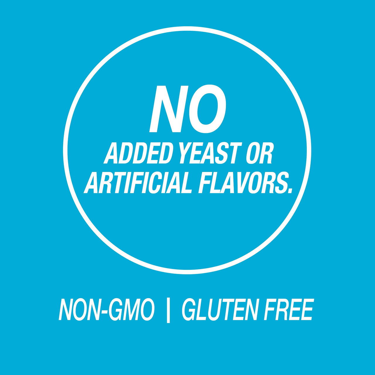 21st Century Cal Mag Zinc +D Tablets, 90 Count