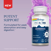 Thumbnail for SOLARAY Berberine Phytosome - 9X Absorption and Easy-to-Digest - Standardized to 30% Berberine HCl - Vegan, Made Without Soy - 60-Day Guarantee - 30 Servings, 30 VegCaps