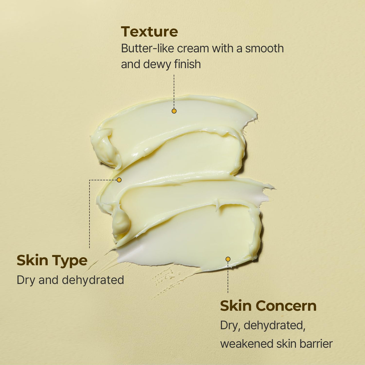 Torriden SOLID IN Ceramide Cream 70ml (2.36 fl. oz.) | Ceramide Moisturizer for Healthy Skin Barrier, Soothing, Nourishing | 5 types of Ceramide, Allantoin, Panthenol