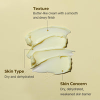 Thumbnail for Torriden SOLID IN Ceramide Cream 70ml (2.36 fl. oz.) | Ceramide Moisturizer for Healthy Skin Barrier, Soothing, Nourishing | 5 types of Ceramide, Allantoin, Panthenol