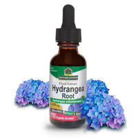 Thumbnail for Nature's Answer Hydrangea Root with Organic Alcohol, 1-Fluid Ounce