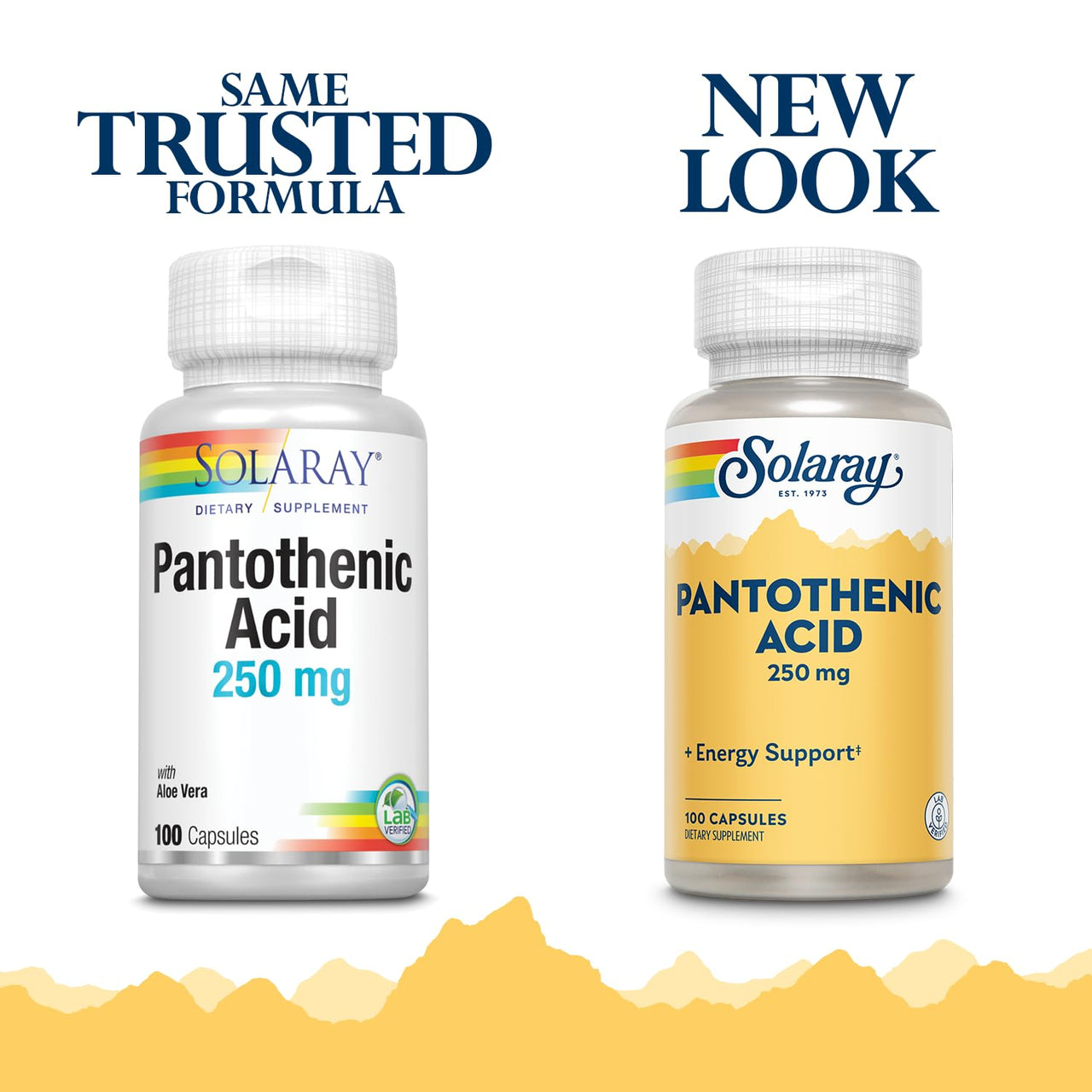 SOLARAY Pantothenic Acid 250mg | Vitamin B5 | Energy Metabolism, Hair, Skin, Nails & Digestive Support | 100CT