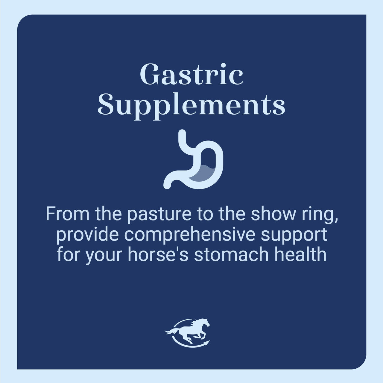 SmartEquine Gut™ Powder | Healthy Gut Probiotics for Horses | Equine Prebiotic & Probiotic Powder | Horse Stomach Supplement | 2 lb Bucket