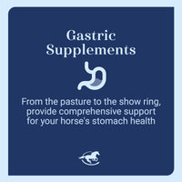 Thumbnail for SmartEquine Gut™ Powder | Healthy Gut Probiotics for Horses | Equine Prebiotic & Probiotic Powder | Horse Stomach Supplement | 2 lb Bucket