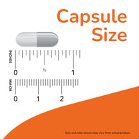 Thumbnail for NOW Supplements, NAC (N-Acetyl Cysteine) 600 mg with Selenium 100 Capsules