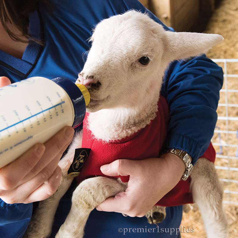 Premier 1 Lamb 'N' Goat Kid Wide-Mouth Feeding Bottle (Bottle & Pritchard Teat)