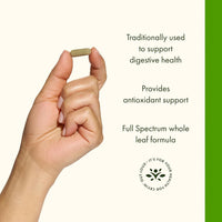 Thumbnail for Swanson Spearmint Leaf (Mentha Spicata) - Full Spectrum Herbal Supplement Supporting Digestive Health & Mild Stomach Issues - Natural Formula Supporting Health & Wellness - (60 Capsules, 400mg Each)