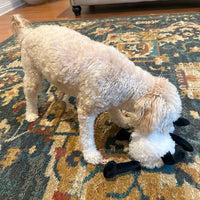 Thumbnail for SPOT Baa Baa Black Sheep Plush Dog Toy - Cute and Cuddly Fleece Toy with Squeaker for Medium to Large Dogs and Puppies, 13in Black and White Lamb