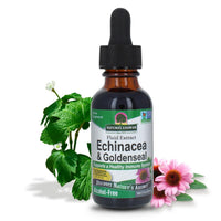 Thumbnail for Nature's Answer Echinacea & Goldenseal Liquid Extract Drops Alcohol Free 1 Ounce | Promotes Overall Wellness | Natural Immune Booster | Inflammatory Reducer