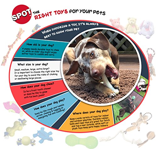 SPOT Play Strong Ball - Durable TPR Ball, Long Lasting Dog Toy for Aggressive Chewers, Hollow Center to Hide Treats, Virtually Indestructible Dog Toy for Dogs & Puppies up to 60lbs - 3.25 inch