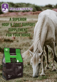 Thumbnail for Majesty's Biotin Wafers - Superior Horse / Equine Hoof and Coat Support Supplement - Copper, Zinc, Lysine, Methionine - 30 Count (1 Month Supply)