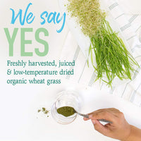 Thumbnail for Garden of Life Raw Organic Perfect Food 100% Organic USA Wheat Grass Juice - Juiced Green Superfood Greens Powder, 60 Servings - Stevia-Free, Non-GMO, Vegan, Gluten Free Whole Food Dietary Supplement