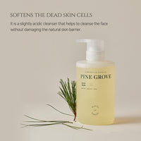 Thumbnail for [Beauty of Joseon] Pine Grove : Body Wash (400ml, 13.5 fl.oz)