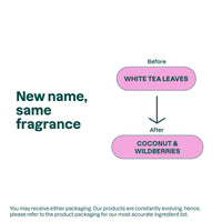 Thumbnail for ATTITUDE Body Wash, EWG Verified Shower Gel, Dermatologically Tested, Plant and Mineral-Based, Vegan Personal Care Products, Coconut & Wild Berries Scent, 16 Fl Oz