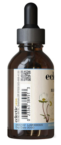 Thumbnail for Eclectic Herb Wildcrafted Non-GMO Bloodroot | US Grown, Gluten Free, Soy Free, 100% Kosher | 2 fl oz (60 ml)