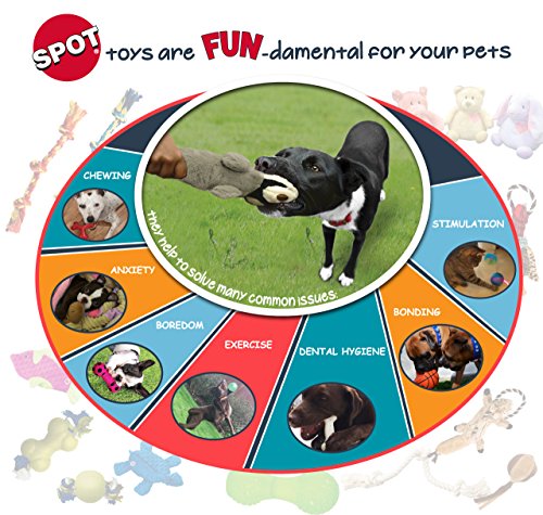 SPOT Dura-Fused Leather Bone- Durable Dog Toy with Squeaker, Real Leather & Jute Fabric, Interactive Toy for Moderate & Aggressive Chewers, Medium & Large Dogs and Puppies, 9 inch