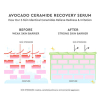 Thumbnail for Glow Recipe Avocado Ceramide Serum - Soothing, Hydrating Face Serum for Women & Men, Redness Relief & Skin Barrier Repair - Lightweight, Milky Korean Skincare for Dry, Sensitive Skin (30 ml)