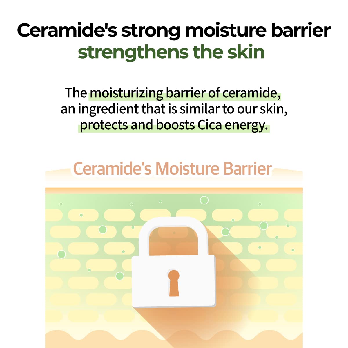 numbuzin No.2 Cream | Cica Ceramide Repair Cream | Ceramide, Centella Asiatica | Hydrating, Calming, Strengthen Skin Barrier, Deep Repair, Recovery | All Skin Types | 2.02 fl. oz.