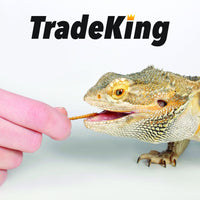 Thumbnail for TradeKing 1 lb Dried Mealworms - High Protein Treat for Wild Birds, Chicken, Fish & Reptiles