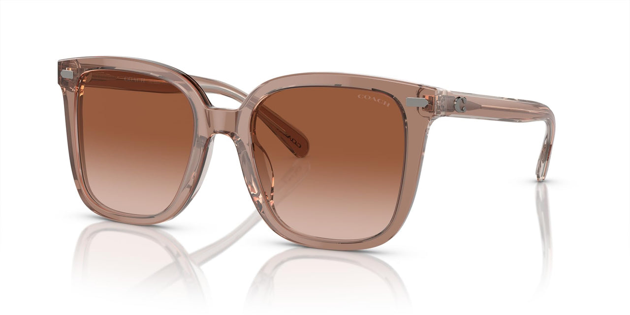 Coach HC8381F Low Bridge Fit Sunglasses, Transparent Brown/Grey/Brown Gradient, 56 mm