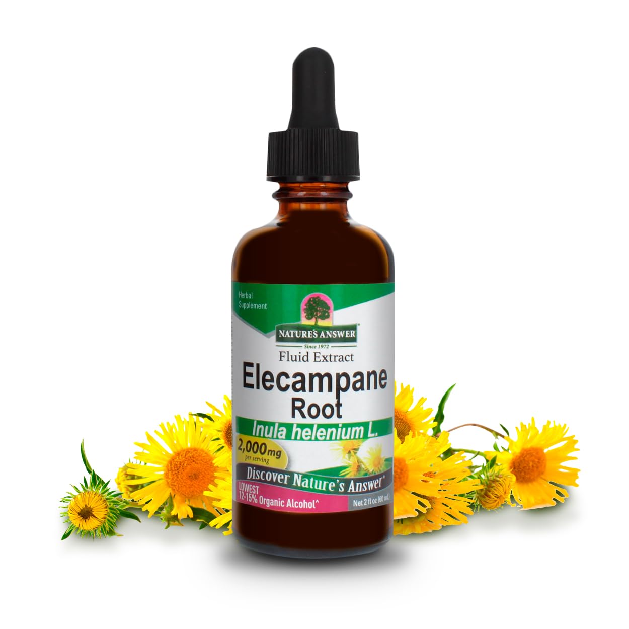 Nature's Answer Elecampane Root 2 oz. Low Organic Alcohol 2000mg - Herbal Supplement - Non GMO & Kosher - Low Alcohol Gluten Free 100% Vegan - 2 FL Oz