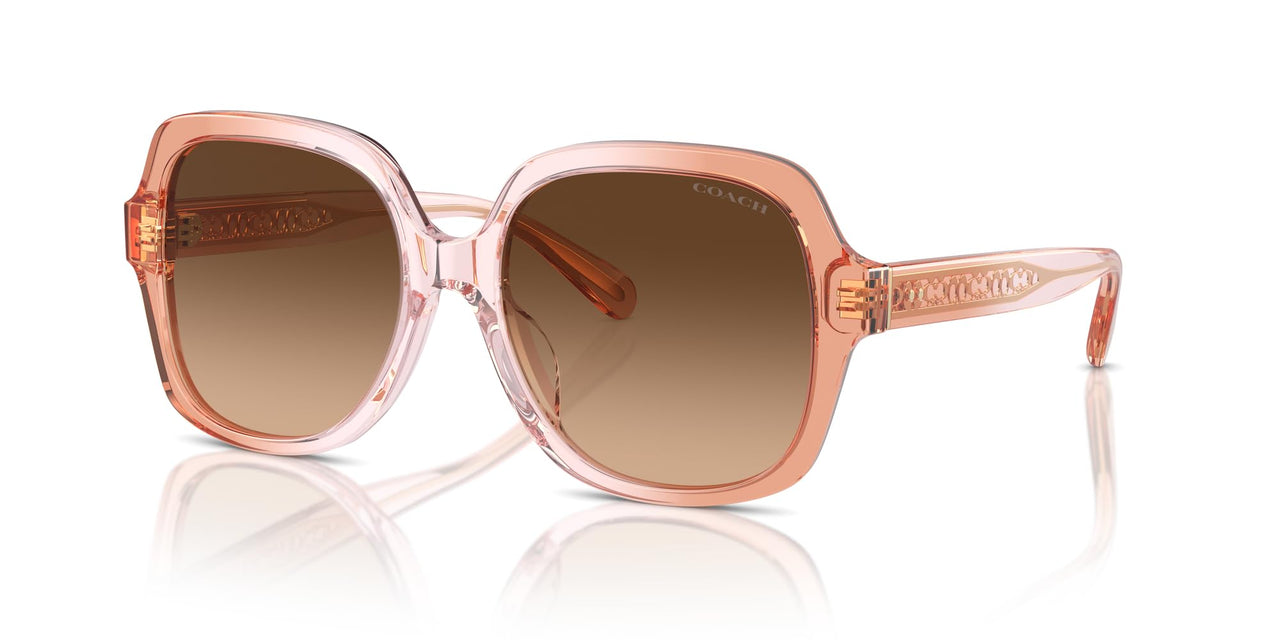 COACH Sunglasses HC 8395 F 581274 Cr962 Saddle/Dusty Rose Grad