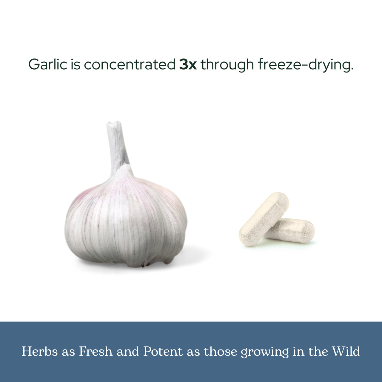 Eclectic Herb - Garlic Capsules | Cardiovascular Heart Health and Immune Support | Dietary Supplement | Vegan, Natural, Non-GMO, Gluten Free (120 CT | 550 mg)