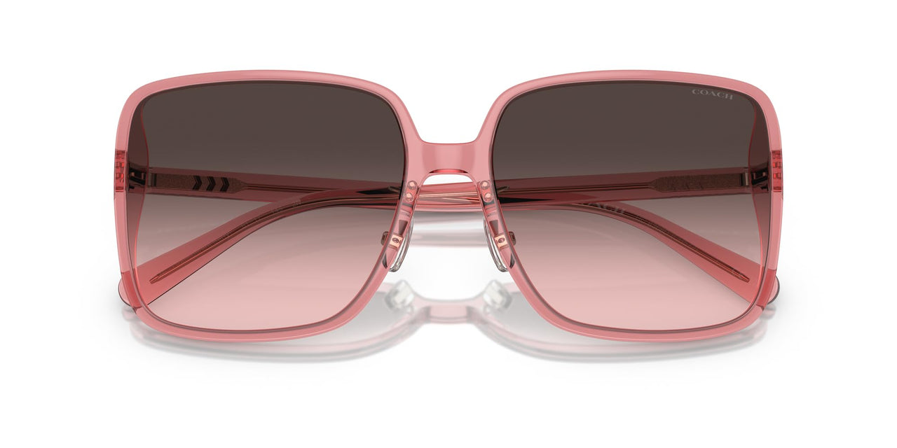 COACH Sunglasses HC 8368 D 580046 Ch572 Transparent Berry Grey P