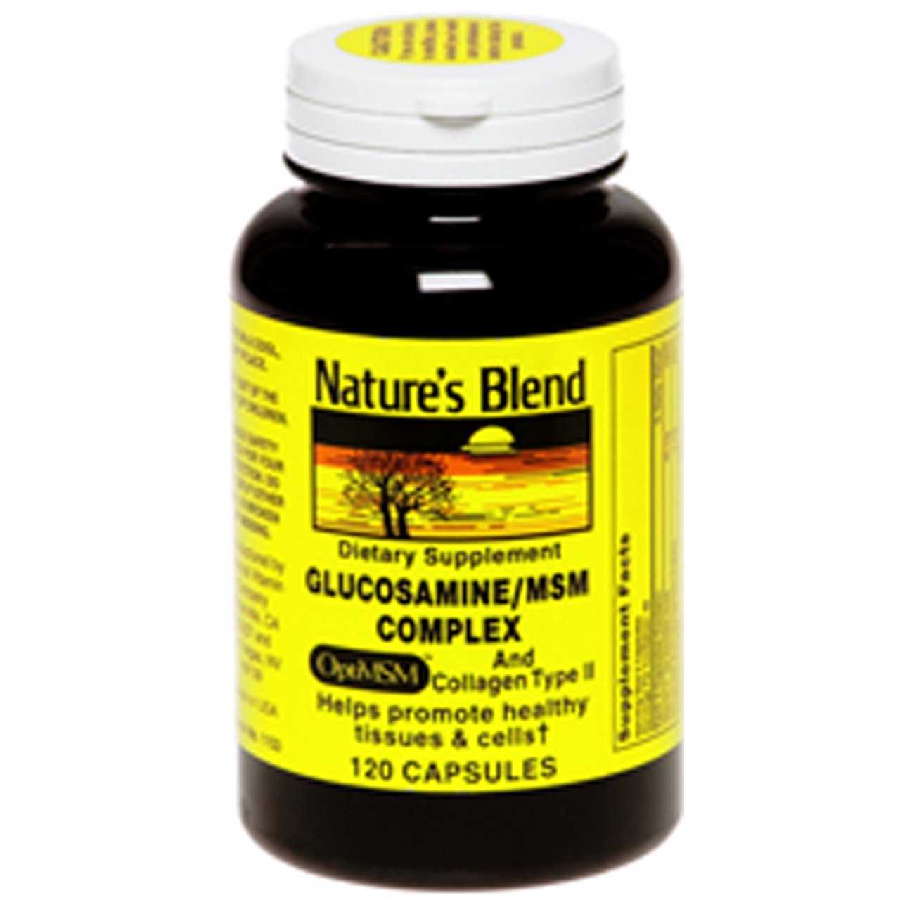Nature's Blend GLUCOSAM/MSM CMPLX TB 120, 079854011531