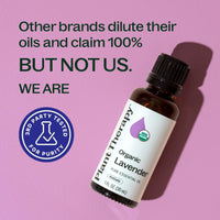 Thumbnail for Plant Therapy Organic Lavender Essential Oil 100% Pure, USDA Certified Organic, Undiluted, Natural Aromatherapy for Diffusion & Topical Use, For Skin, Hair, Relaxation, Premium Therapeutic Grade 30 mL