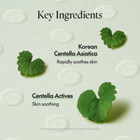 Thumbnail for PURITO SEOUL Wonder Releaf Centella Spot Patch, Korean Centella, for Sensitive Skin, Soothing, Pimple Patches for Face, Spot Stickers, K-Beauty, 51 Count