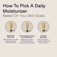 Thumbnail for Acure Brightening Day Cream - Cica Cream, Anti Aging Moisturizer to Brighten for Women & Men, Facial Lotion, Skincare with Argan Oil to Replenish, Tone Dry Skin & Hydrate, Cruelty Free - 1.7 fl oz