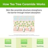 Thumbnail for ISOI Moisture Dr. Ampoule 40ml (1.35 fl.oz) | Hydrating Soothing Daily Facial Serum for Dry and Sensitive Skin with Tea Tree Ceramide, Hyaluronic Acid | Skin Barrier Repair | Korean Skincare