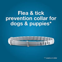 Thumbnail for Seresto Small Dog Vet-Recommended Flea & Tick Treatment & Prevention Collar for Dogs Under 18 lbs. | 8 Months Protection