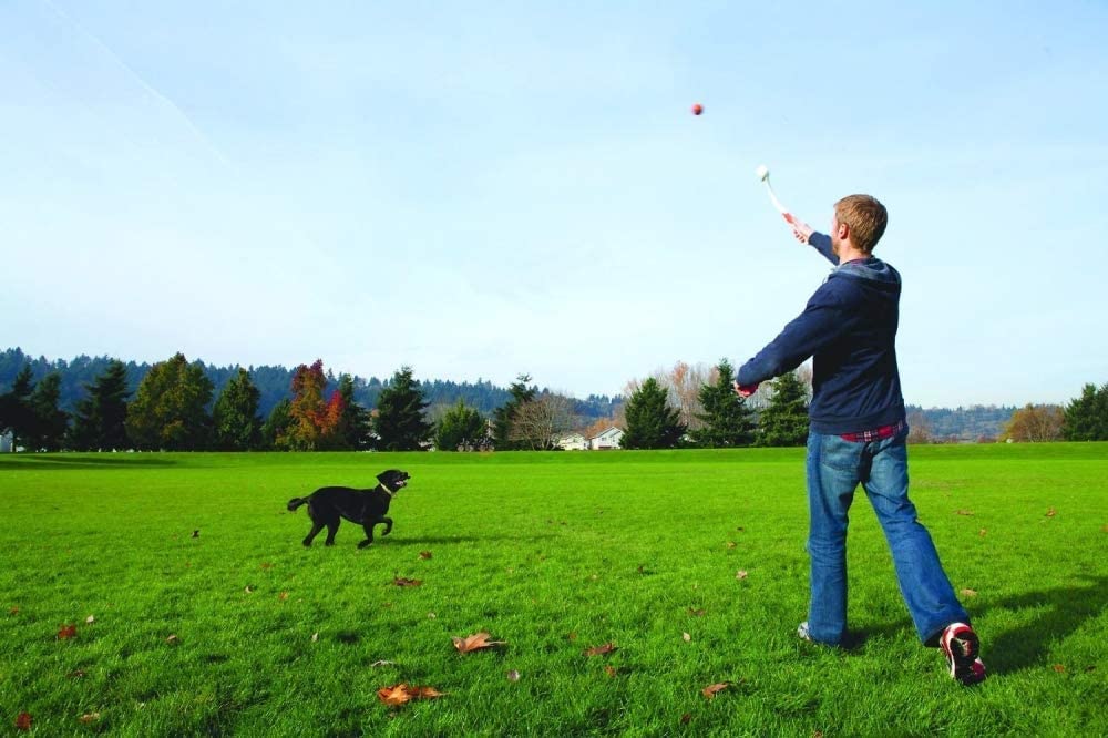Chuckit Pocket Ball Launcher Medium Ball - 12" Launcher (4 Pack)
