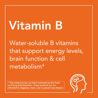 Thumbnail for NOW Supplements, Vitamin B-100, Sustained Release, Energy Production*, Nervous System Health*, 100 Tablets (Pack of 2)