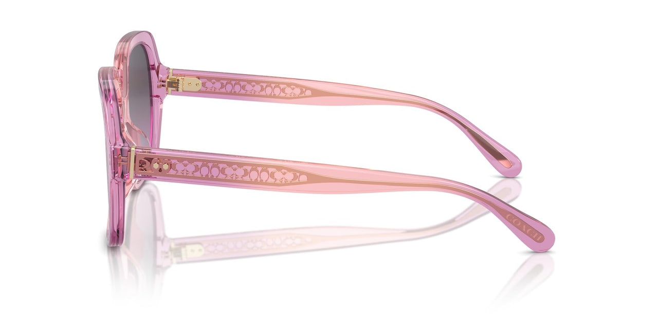 COACH Sunglasses HC 8395 F 581390 Cr962 Amethyst/Pink Gradient