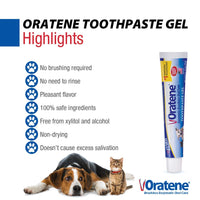 Thumbnail for Pet King Brands ZYMOX Oratene Brushless Toothpaste Gel for Dogs and Cats, 2.5oz
