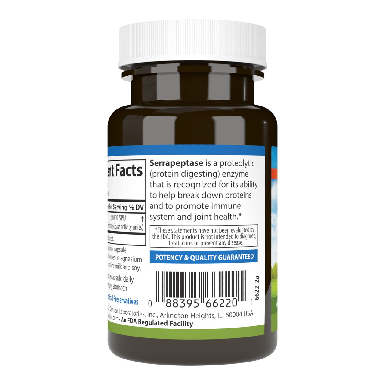 Carlson - Serrapeptase, 120000 SPUs - Delayed Release, Immune Support, Joint Function & Optimal Wellness, 90 Vegetarian Capsules