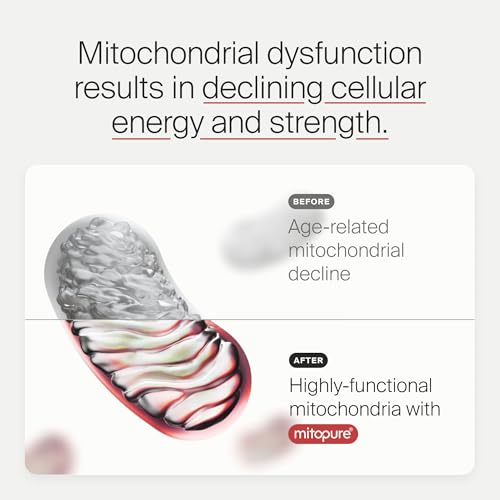 Image 5 of Timeline Mitopure Urolithin A Supplement Powder 500 MG