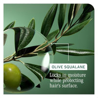 Thumbnail for Image 6 of Biolage Strength Recovery Shampoo ??or Damaged Hair